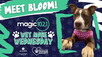 Wet Nose Wednesday: Bloom