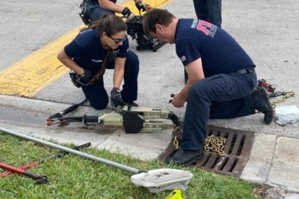 Ducklings that fell in drain rescued by Florida fire rescue unit